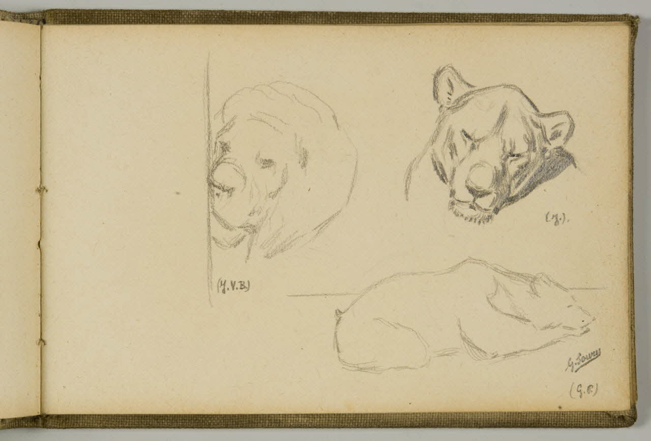 Gustave Soury carnet de dessins Deux études de têtes de lions et esquisse d'ours blanc couché Paris 1923 1967.116.943.26 Photo