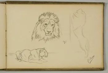 Gustave Soury carnet de dessins Trois études de lion Paris 1923 1967.116.943.44 Photo