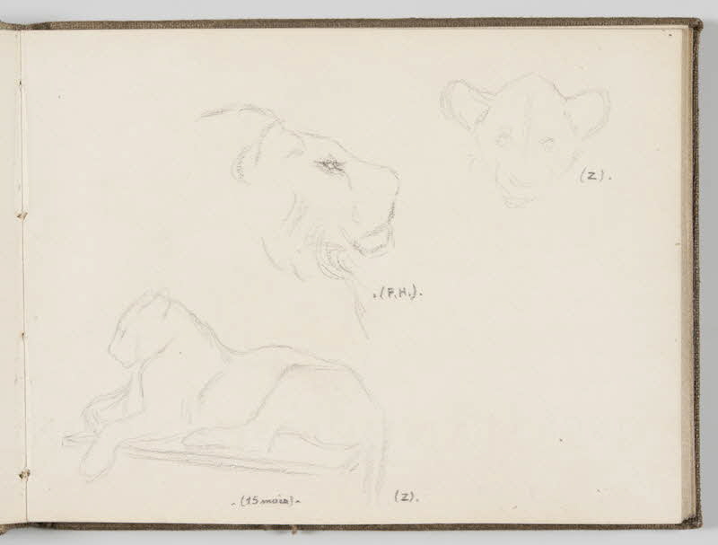 Gustave Soury carnet de dessins Feuille d'esquisses de lion et lionceaux Paris 1930-1934 1967.116.944.10 Photo