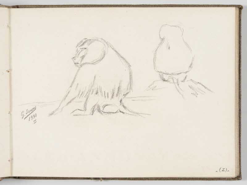Gustave Soury carnet de dessins Deux études de babouin Paris 1931 1967.116.944.12 Photo