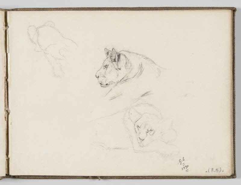 Gustave Soury carnet de dessins Trois esquisses de lionnes Paris 1930 1967.116.944.16 Photo