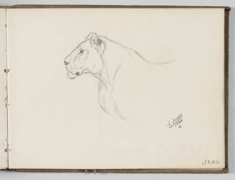 Gustave Soury carnet de dessins Tête de lionne Paris 1930 1967.116.944.27 Photo
