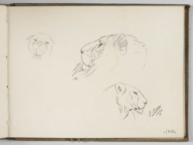 Gustave Soury carnet de dessins Têtes de lion, lionne et puma Paris 1930 1967.116.944.32 Photo