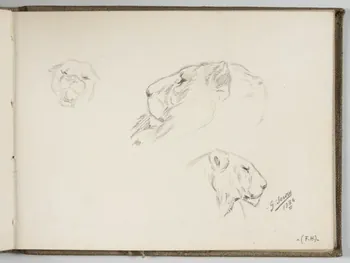 Gustave Soury carnet de dessins Têtes de lion, lionne et puma Paris 1930 1967.116.944.32  Photo