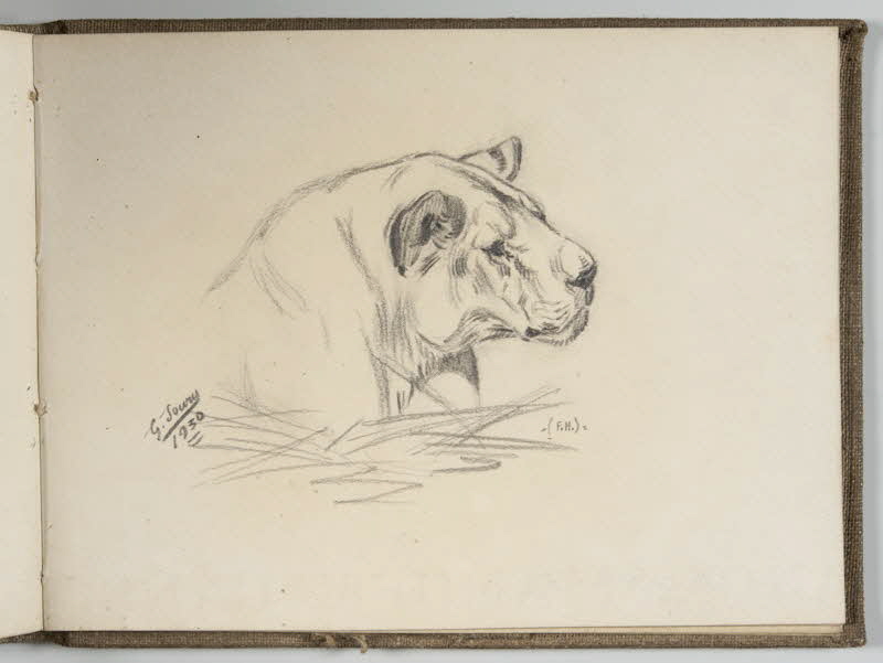 Gustave Soury carnet de dessins Tête de lionne Paris 1930 1967.116.944.40 Photo