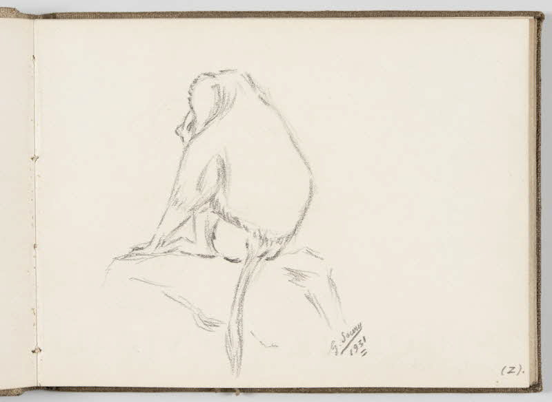 Gustave Soury carnet de dessins Babouin assis de dos Paris 1931 1967.116.944.9 Photo