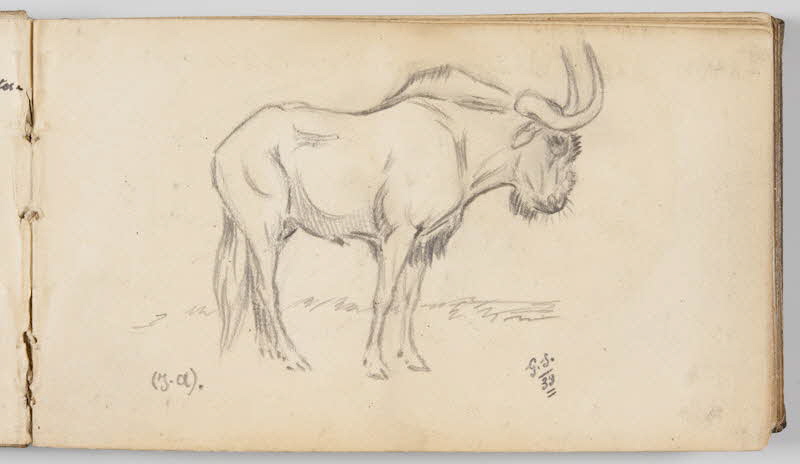 Gustave Soury carnet de dessins Etude de gnou Paris 1939 1967.116.945.1 Photo