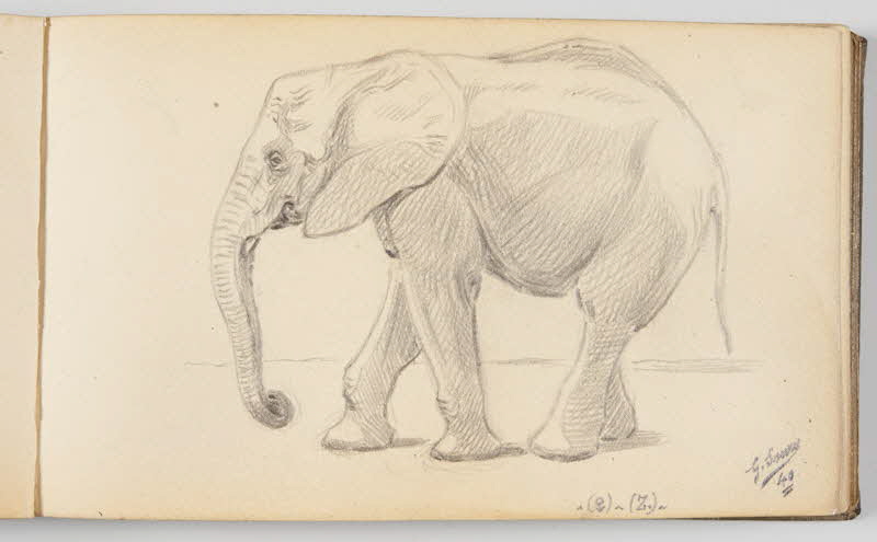 Gustave Soury carnet de dessins Feuille d'étude d'éléphant mâle d'Afrique Paris 1940 1967.116.945.10 Photo