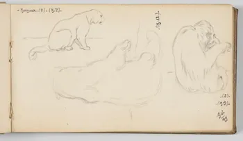 Gustave Soury carnet de dessins Feuille d'étude de jaguar, d'orang-outang et d'ours Paris 1940 1967.116.945.14  Photo