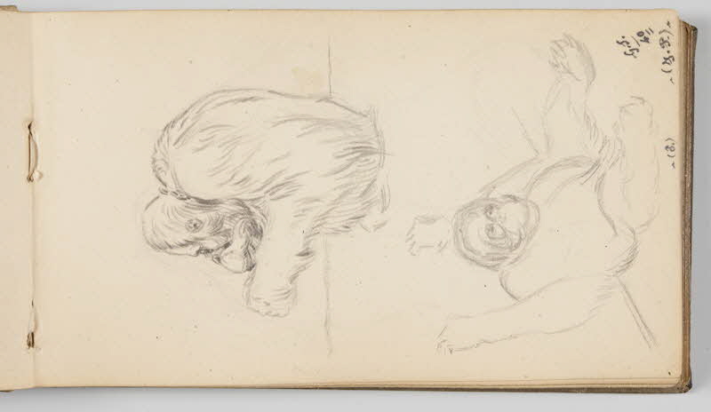 Gustave Soury carnet de dessins Deux études d'orang-outang dont un mâle Paris 1940 1967.116.945.15 Photo