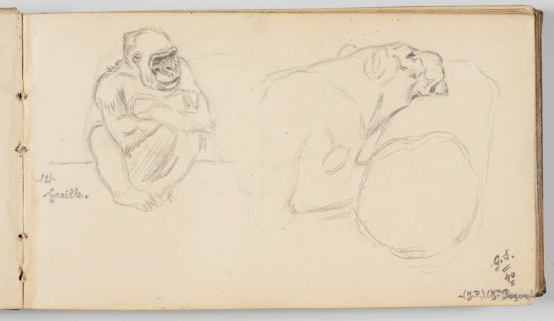 Gustave Soury carnet de dessins Etude de gorille femelle et de lionne Paris 1940 1967.116.945.2 Photo
