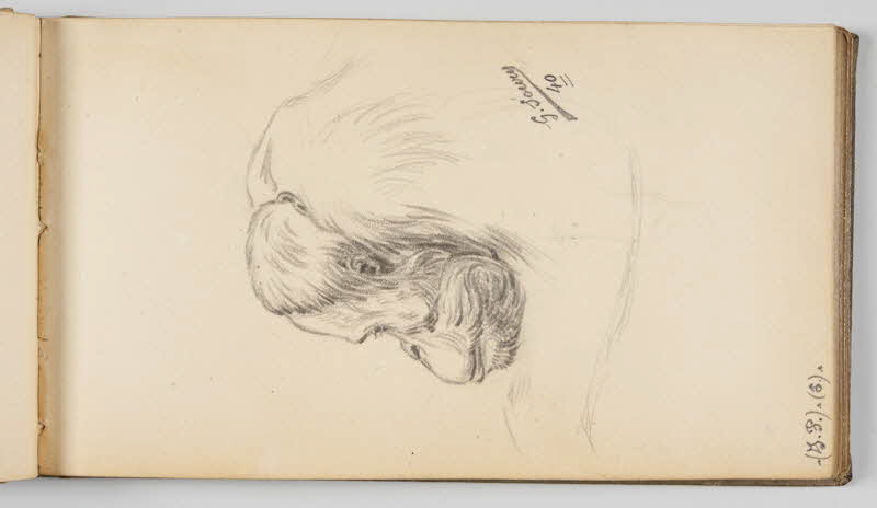 Gustave Soury carnet de dessins Etude de tête d'orang-outang mâle vue de profil Paris 1940 1967.116.945.22 Photo