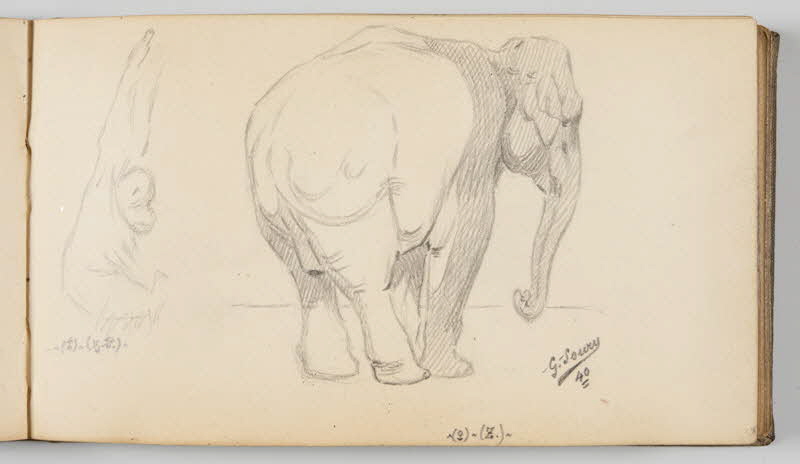 Gustave Soury carnet de dessins Etude d'un orang-outang mâle et d'un éléphant femelle Paris 1940 1967.116.945.26 Photo