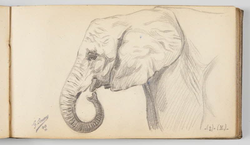 Gustave Soury carnet de dessins Etude de tête d'éléphant femelle Paris 1940 1967.116.945.27 Photo