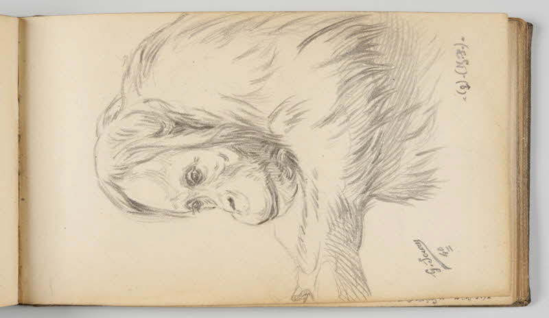 Gustave Soury carnet de dessins Feuille d'étude d'orang-outang femelle Paris 1940 1967.116.945.30 Photo