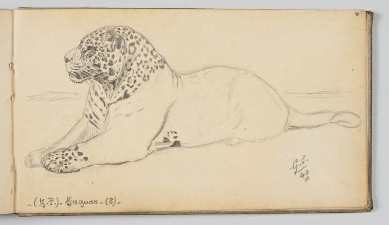 Gustave Soury carnet de dessins Jaguar Paris 1940 1967.116.945.47 Photo