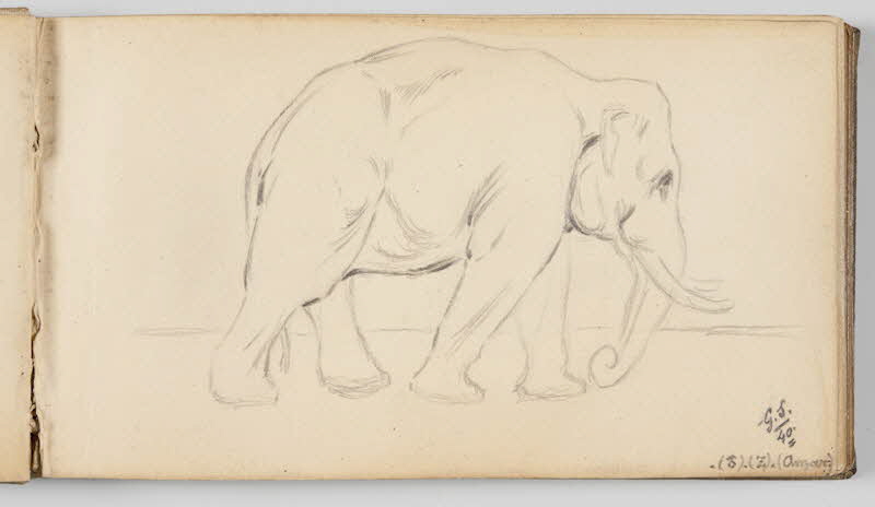 Gustave Soury carnet de dessins Feuille d'étude d'éléphant femelle d'Inde Paris 1940 1967.116.945.9 Photo