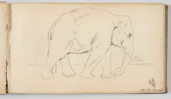Gustave Soury carnet de dessins Feuille d'étude d'éléphant femelle d'Inde Paris 1940 1967.116.945.9 Photo