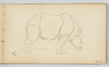carnet de dessins Rhinocéros 1967.116.946.12 Photo