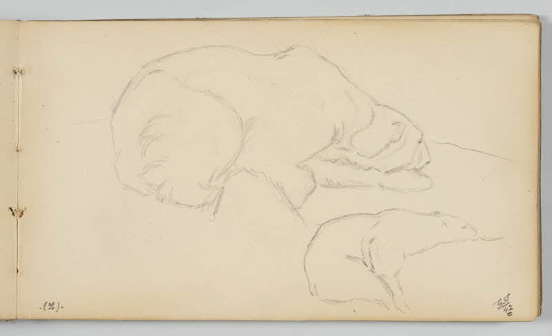 carnet de dessins Ours polaire 1967.116.946.14 Photo