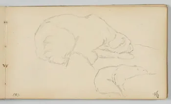 carnet de dessins Ours polaire 1967.116.946.14 Photo