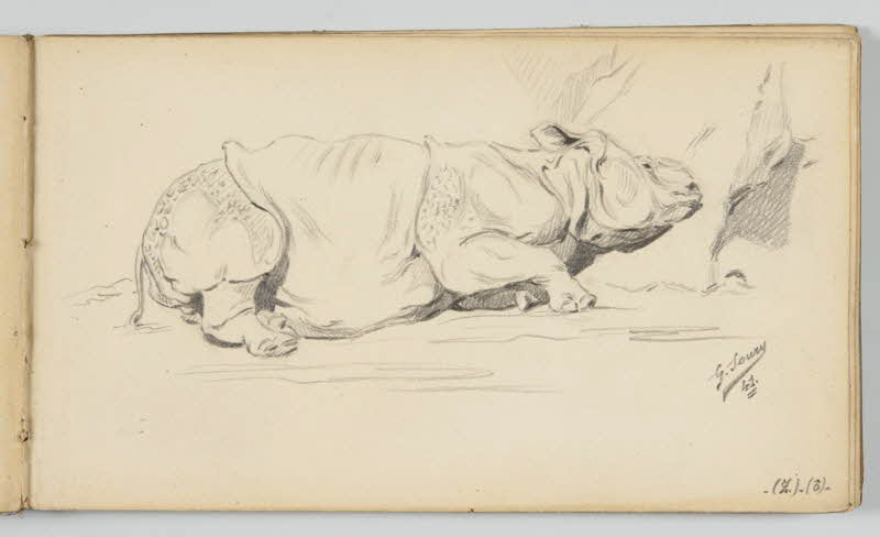 carnet de dessins Rhinocéros couché 1967.116.946.19 Photo