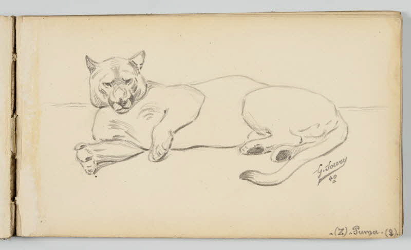 carnet de dessins Puma 1967.116.946.20 Photo