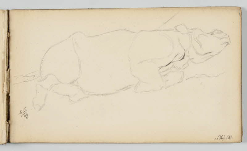 carnet de dessins Rhinocéros couché 1967.116.946.21 Photo