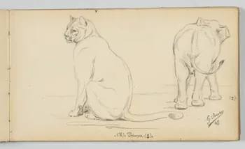 carnet de dessins Puma et éléphanteau 1967.116.946.23  Photo