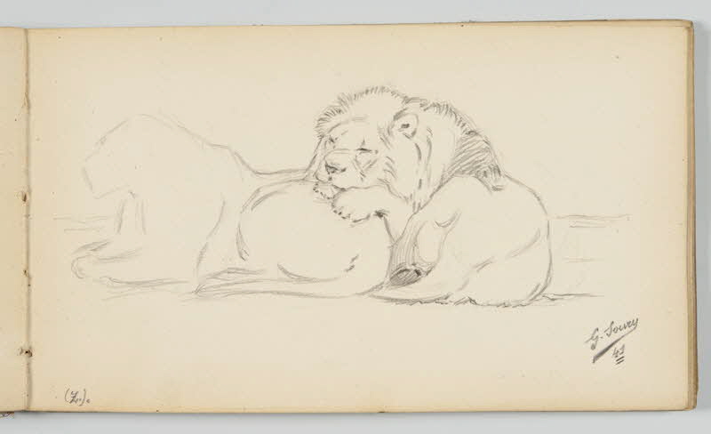 carnet de dessins Lion endormi 1967.116.946.26 Photo