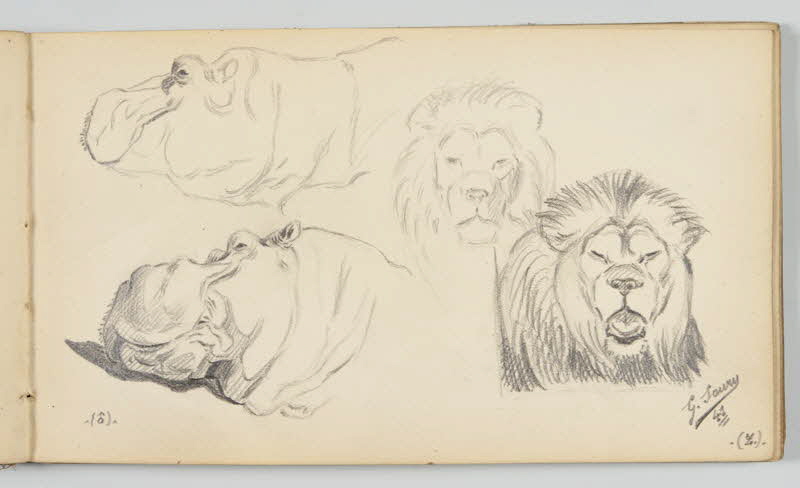 carnet de dessins Hippopotame et lion 1967.116.946.27 Photo
