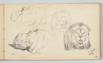 carnet de dessins Hippopotame et lion 1967.116.946.27  Photo