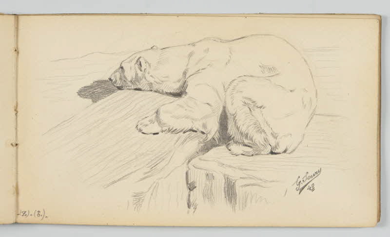 carnet de dessins Ours polaire 1967.116.946.36 Photo