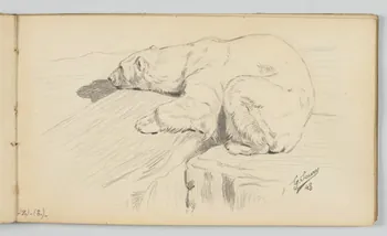 carnet de dessins Ours polaire 1967.116.946.36 Photo