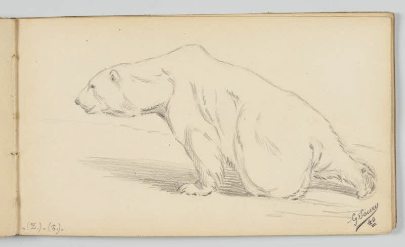 carnet de dessins Ours polaire 1967.116.946.37 Photo