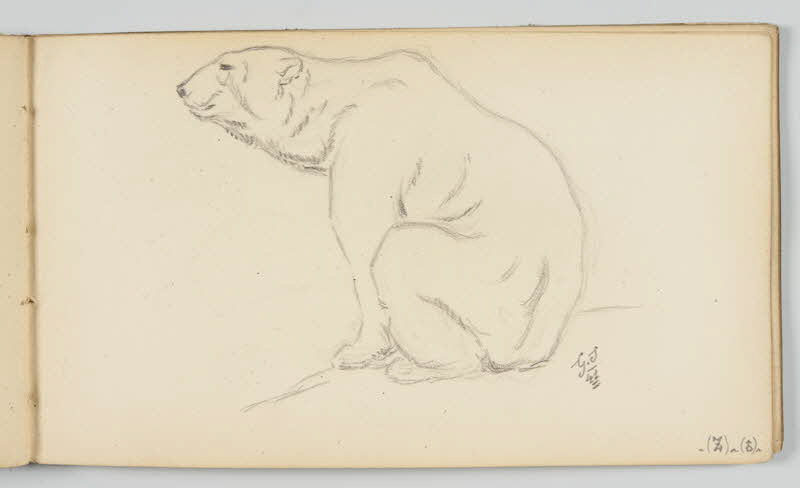 carnet de dessins Ours blanc 1967.116.946.38 Photo