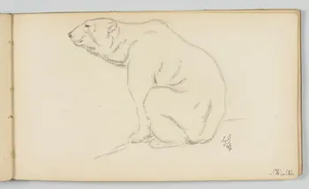 carnet de dessins Ours blanc 1967.116.946.38 Photo
