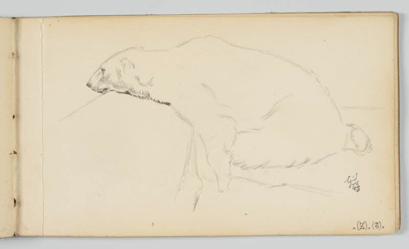 carnet de dessins Ours polaire 1967.116.946.39 Photo