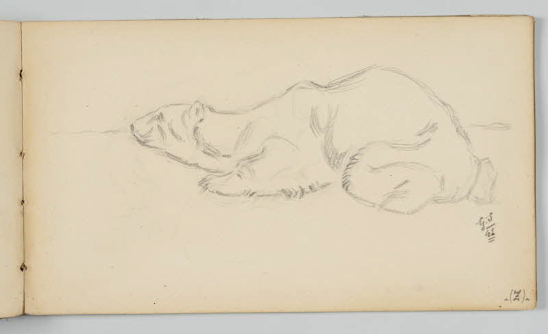 carnet de dessins Ours polaire au repos 1967.116.946.41 Photo