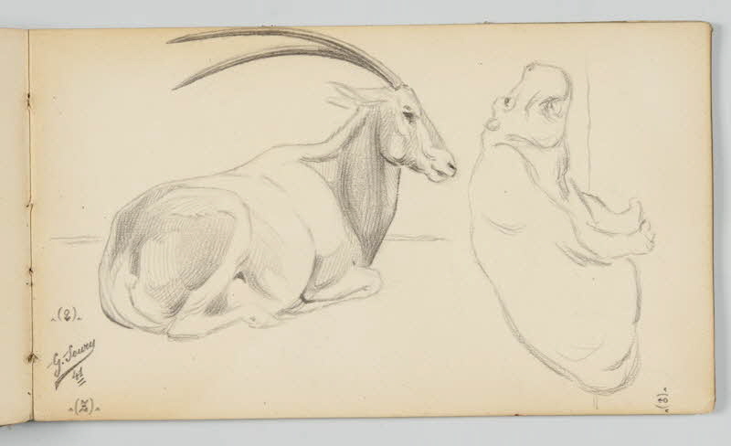 carnet de dessins Gazelle et hippopotame 1967.116.946.42 Photo