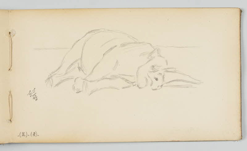 carnet de dessins Rhinocéros couché 1967.116.946.44 Photo