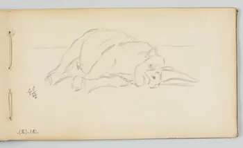 carnet de dessins Rhinocéros couché 1967.116.946.44 Photo