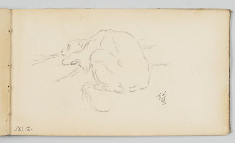 carnet de dessins Ours polaire au repos 1967.116.946.47 Photo