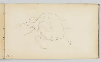 carnet de dessins Ours polaire au repos 1967.116.946.47 Photo