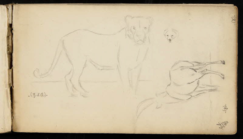 carnet de dessins Lion et antilope 1967.116.947.1 Photo