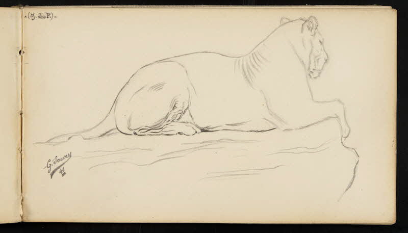 carnet de dessins Lionne 1967.116.947.11 Photo