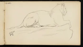 carnet de dessins Lionne 1967.116.947.11 Photo