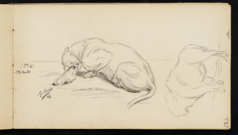 carnet de dessins Lionne se nourrissant 1967.116.947.13 Photo