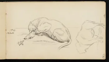carnet de dessins Lionne se nourrissant 1967.116.947.13  Photo