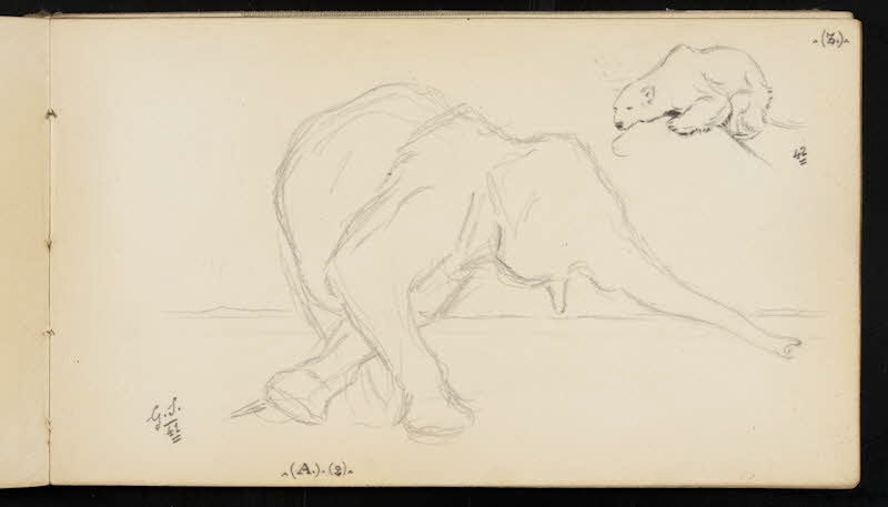 carnet de dessins Eléphant et ours blanc 1967.116.947.14 Photo